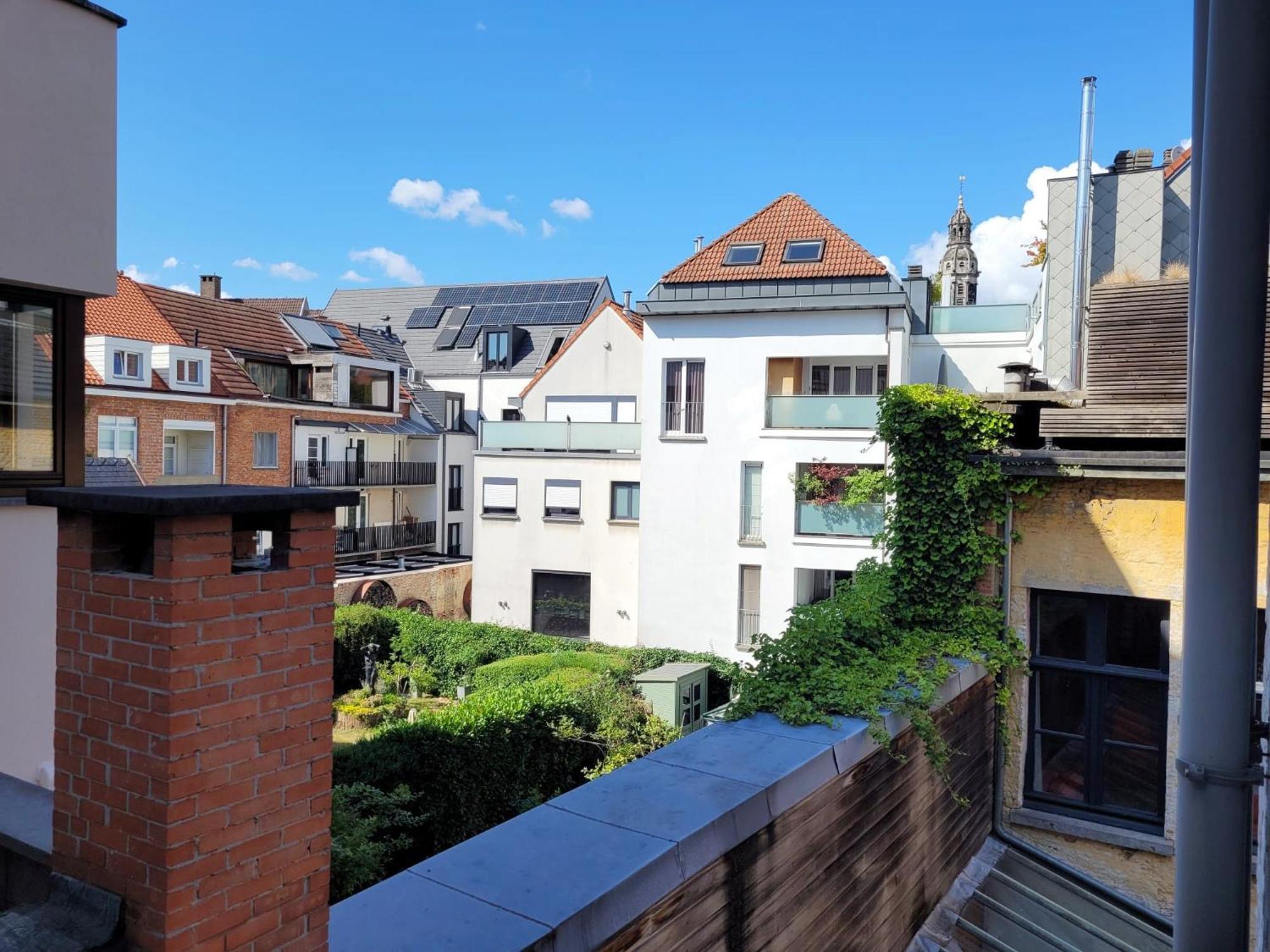 Cathedral View Apartment 安特卫普 外观 照片